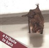 A tribute to bats