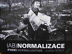 (Ab)normalizace - (Fake) normalization