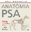 Anatómia psa