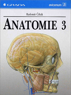 Anatomie 3