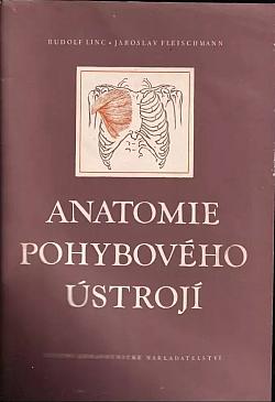 Anatomie pohybového ústrojí