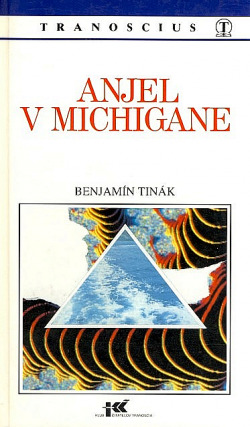 Angel v Michigane