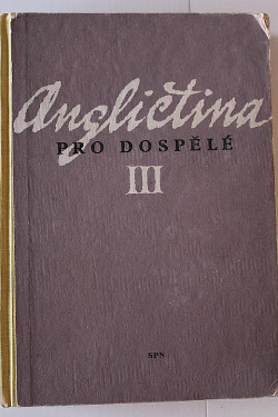 Angličtina pro dospělé III