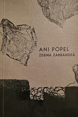 Ani popel
