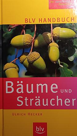 Bäume und Sträucher