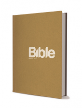 Bible 21