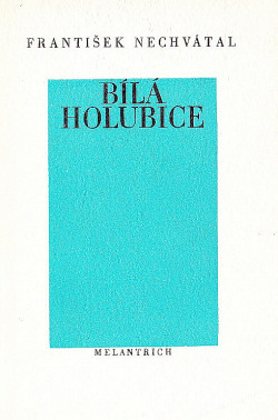 Bílá holubice