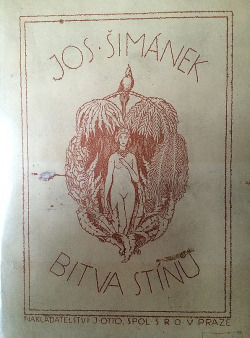 Bitva stínů