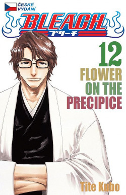 Flower On The Precipice