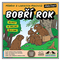 Bobří rok