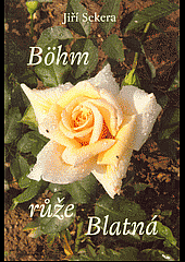 Böhm růže Blatná