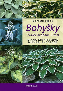 Bohyšky - trvalky ozdobné listem