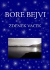 Bore Bejvi