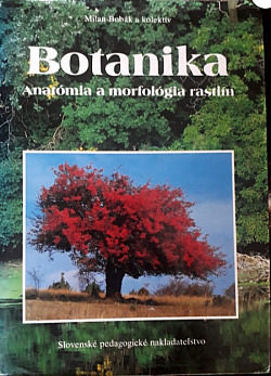 Botanika: Anatómia a morfológia rastlín