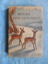 Bouda pod Těšankou