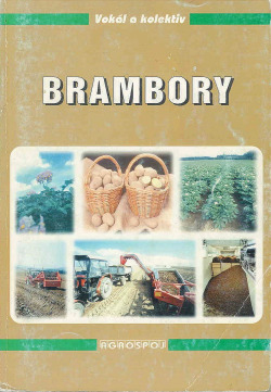 Brambory