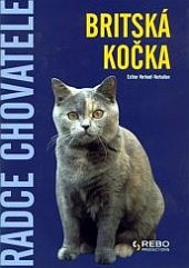 Britská kočka