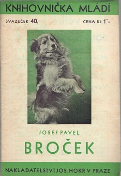 Broček