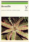 Bromélie