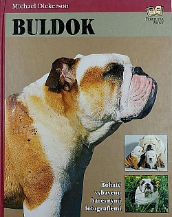 Buldok