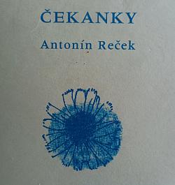Čekanky