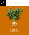 Celer