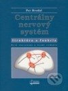 Centrálny nervový systém