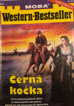 Černá kočka