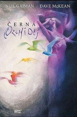 Černá orchidej