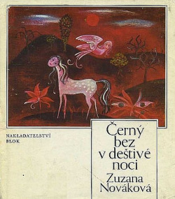 Černý bez v deštivé noci
