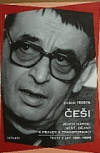 Češi. Jejich národ, stát, dějiny a pravdy v transformaci