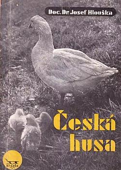 Česká husa