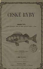 České ryby