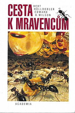 Cesta k mravencům