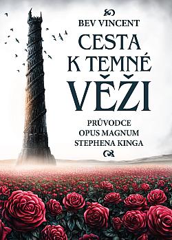 Cesta k temné věži