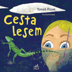 Cesta lesem
