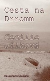 Cesta na Drromm
