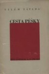 Cesta pěšky