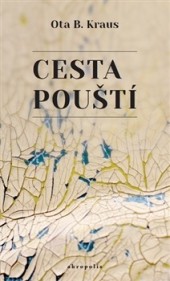 Cesta pouští