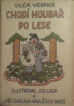 Chodí houbař po lese