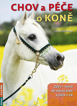 Chov a péče o koně