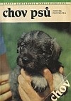 Chov psů