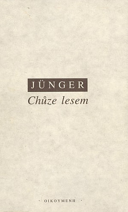 Chůze lesem