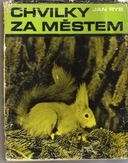 Chvilky za městem
