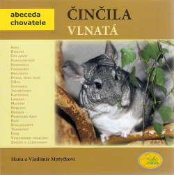 Činčila vlnatá