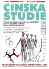 Čínská studie