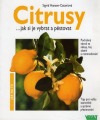 Citrusy