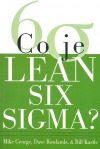 Co je Lean Six Sigma?