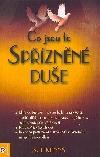 Co jsou to spřízněné duše