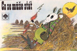 Co se může stát